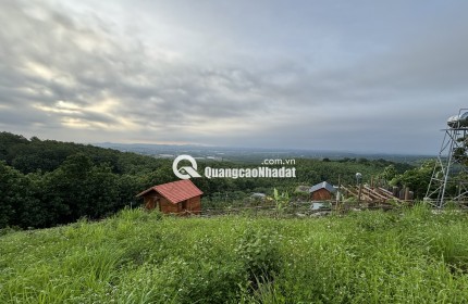 Đất Đẹp La Ngà – Sổ Riêng, View Chill, Đường Ô Tô – Chính Chủ Sang Nhượng